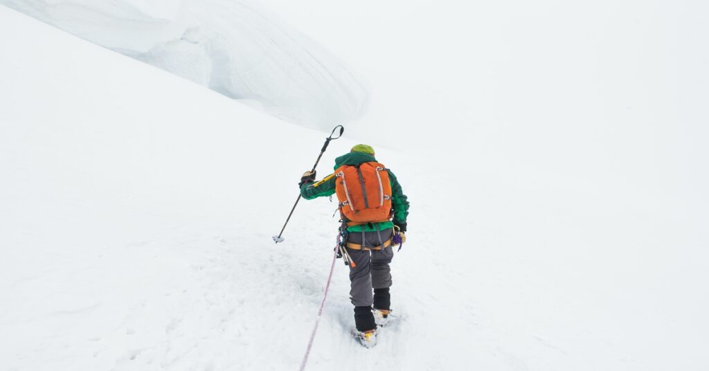 hiker with trekking pole