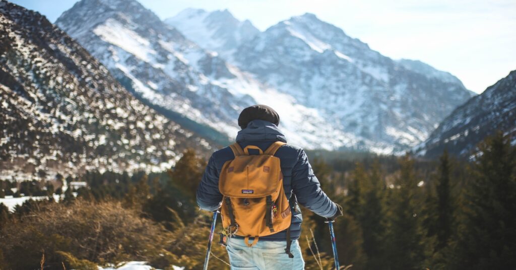 hiker with trekking poles