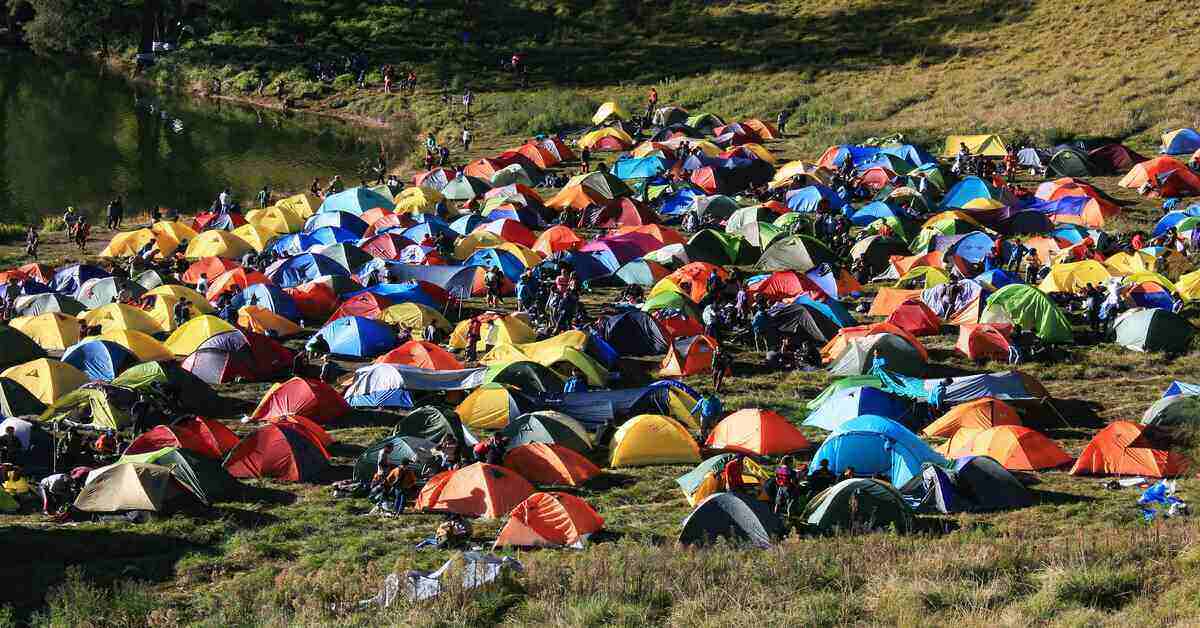 tents at a campsite