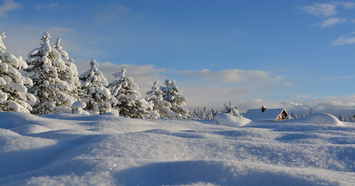 hiking trail in winter