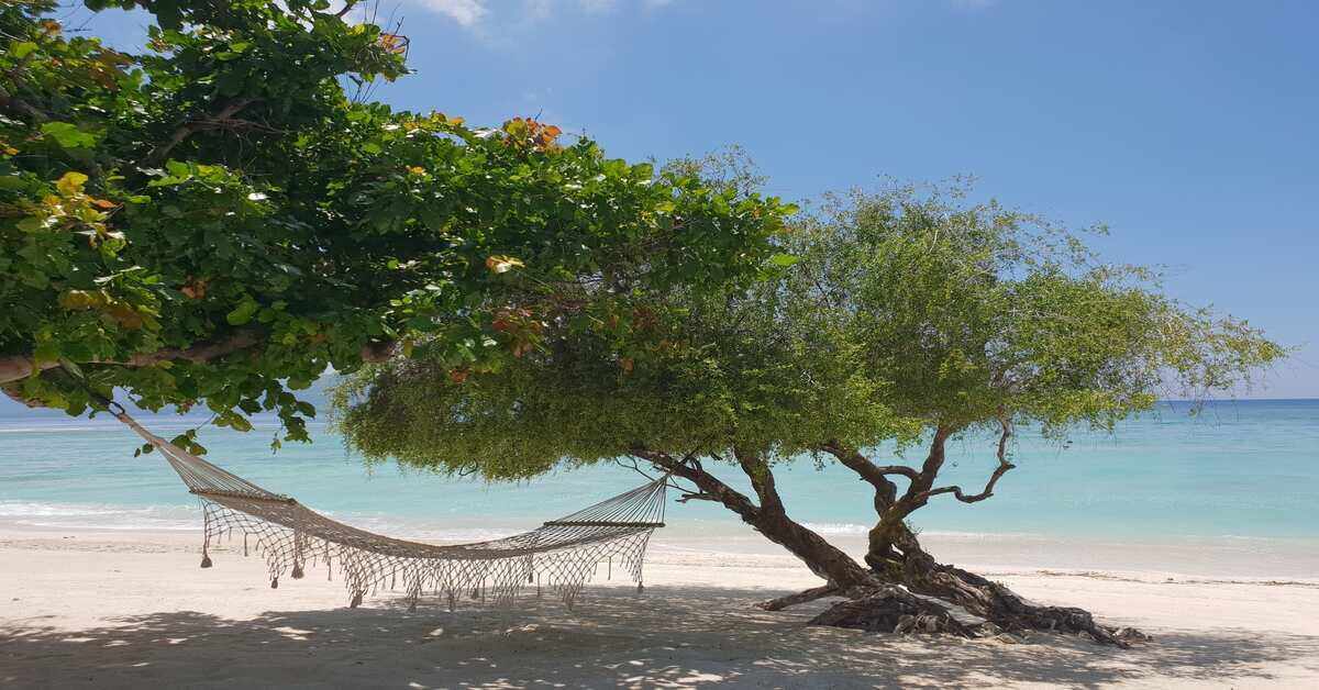 hammock under a shade