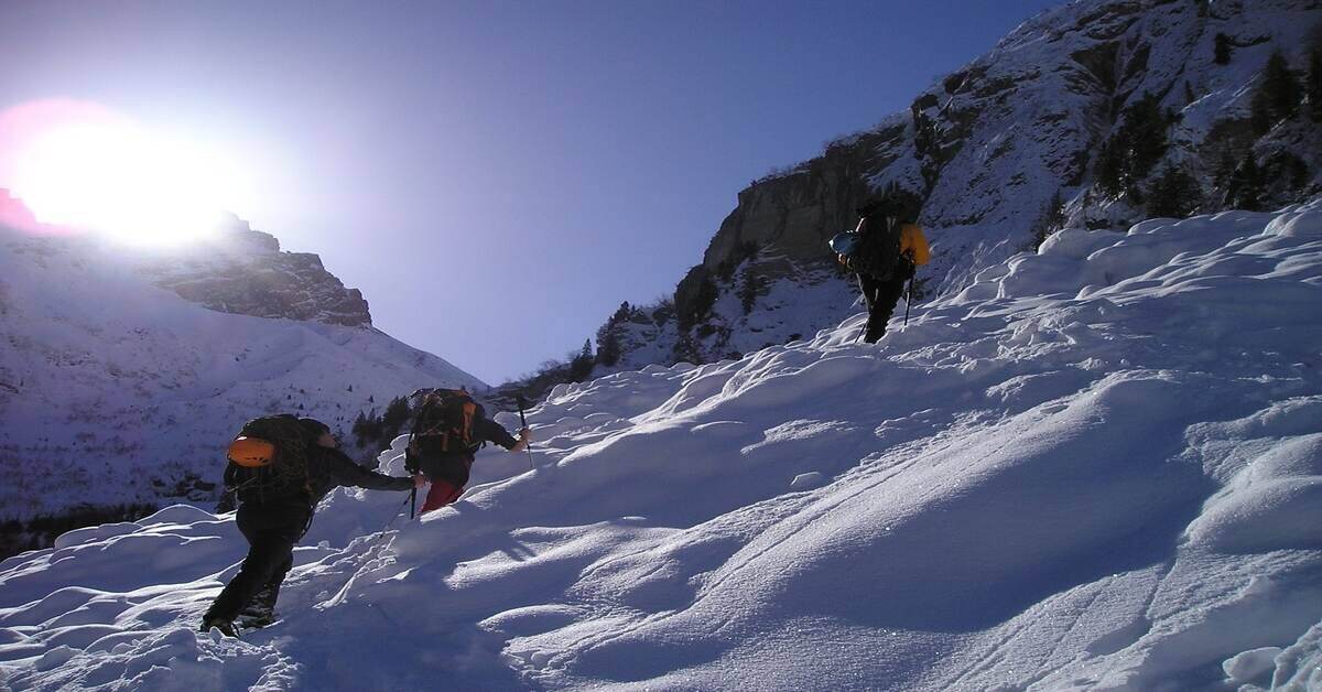 group of snowshoers