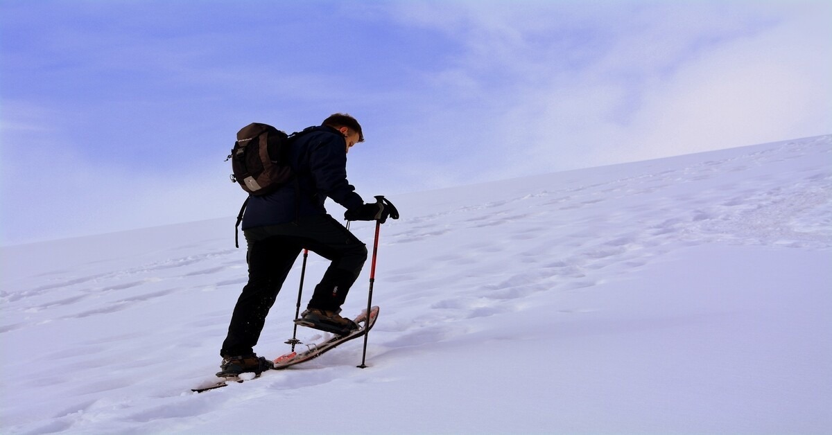 snowshoer climbing a hill