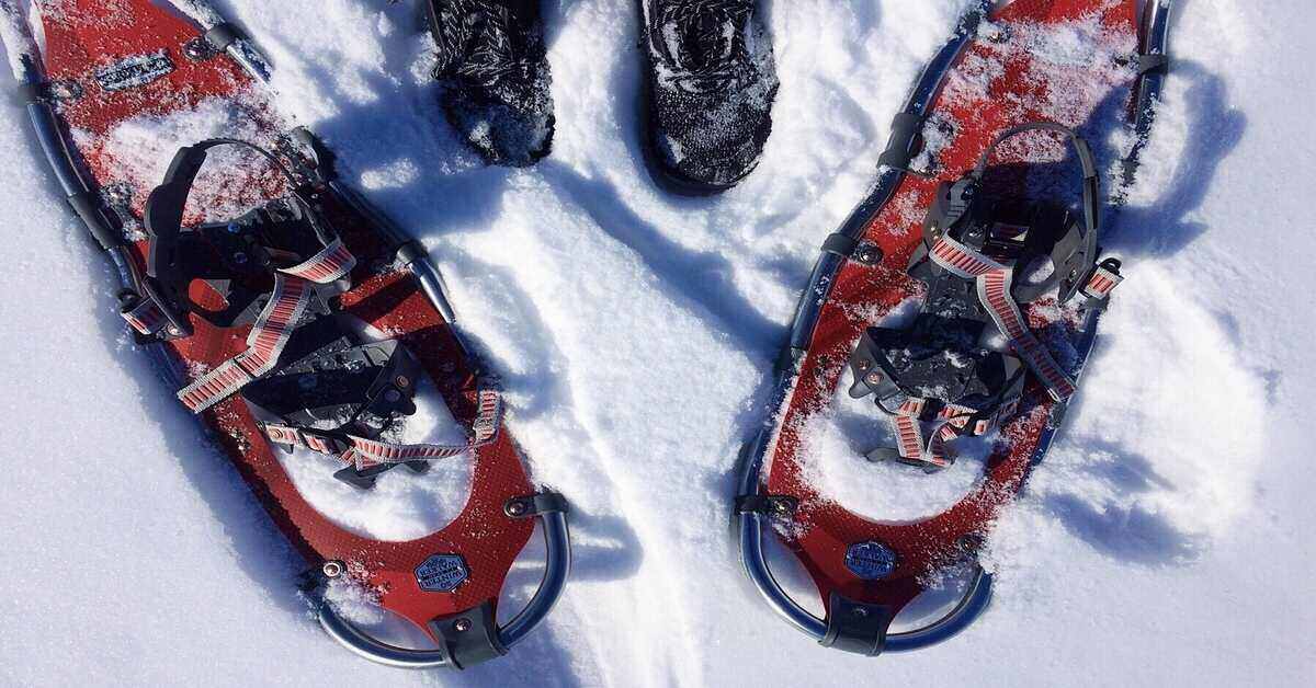 pair of snowshoes