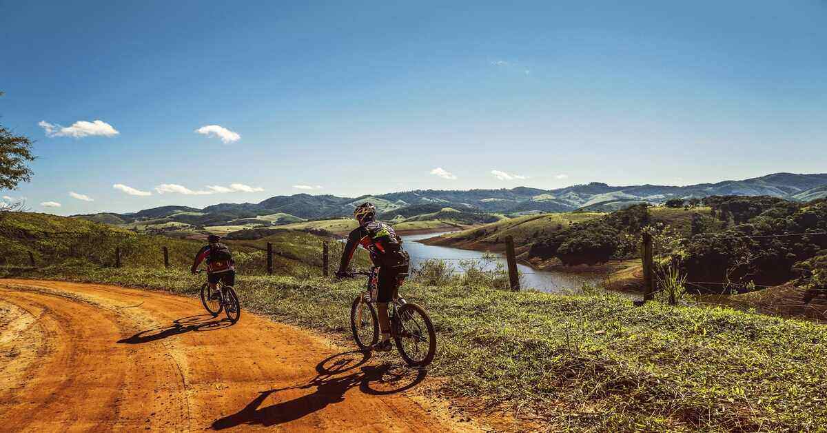 cyclists on the road