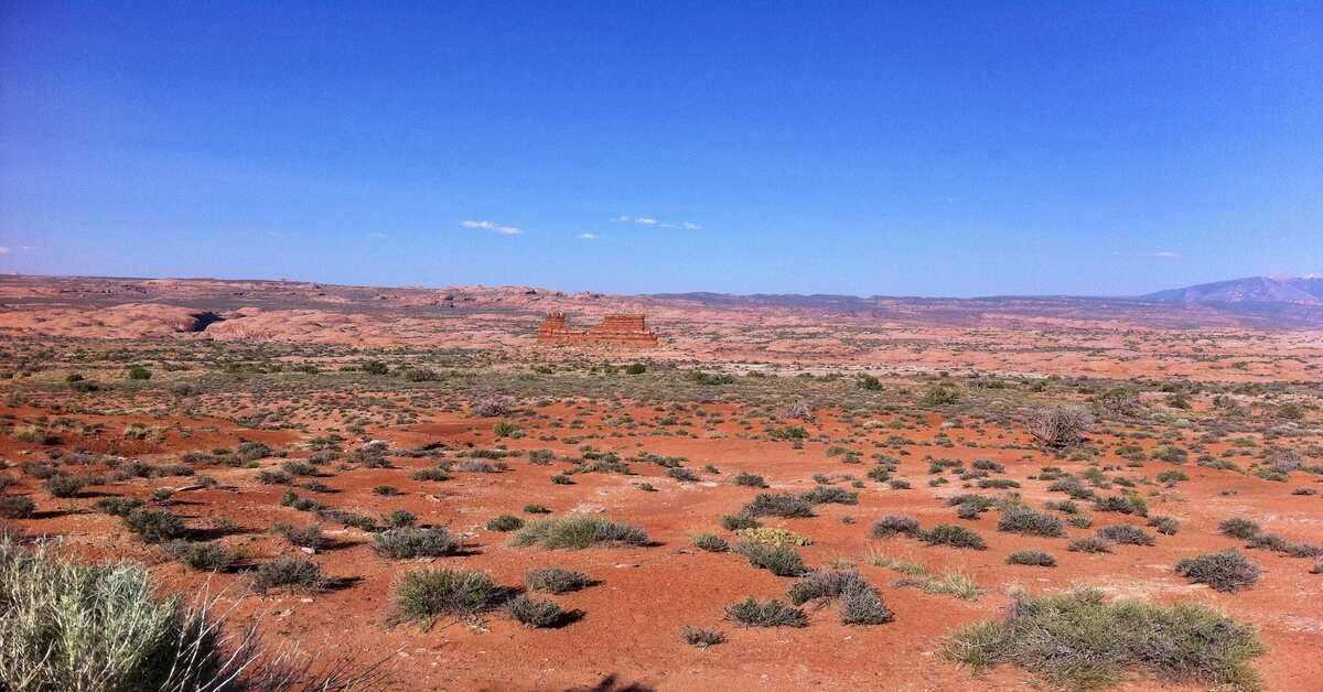 desert scenery