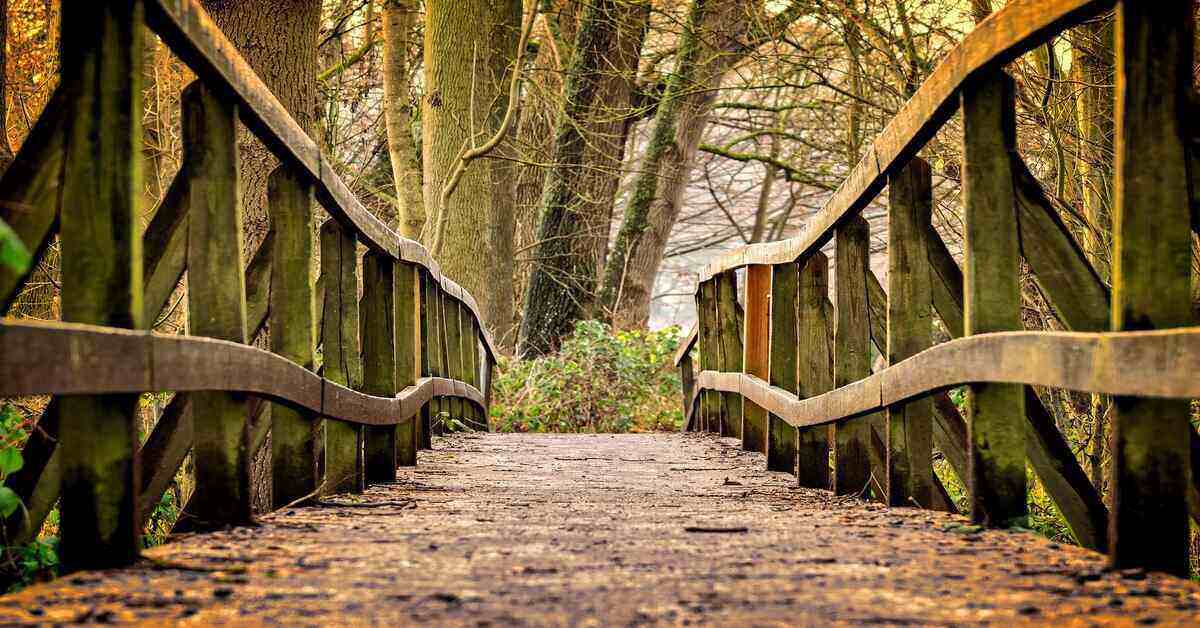 Hiking trail with hand rails