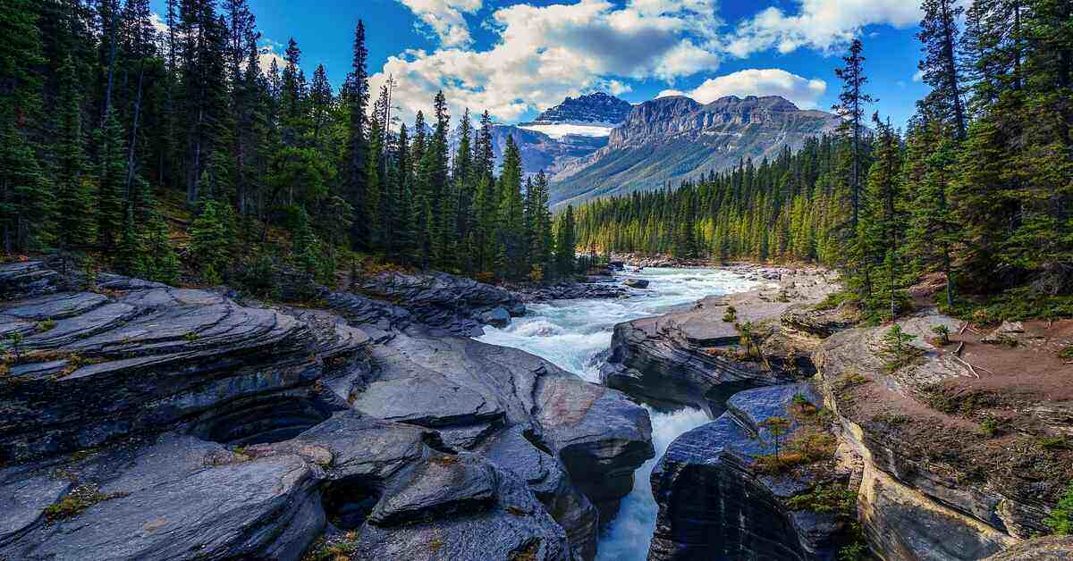 river near trees and mountains