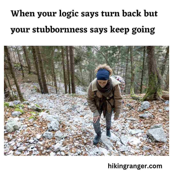 A Collection of 21 Most Hilarious Hiking Memes