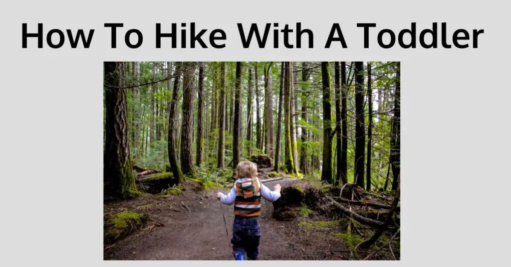 Image for how to hike with your toddler
