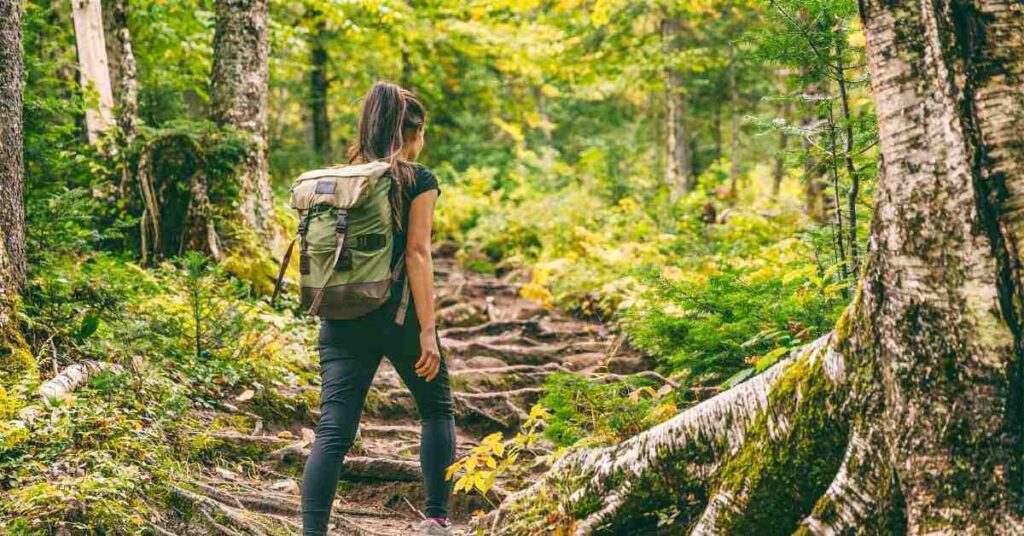 hiker in rocky trail in the woods