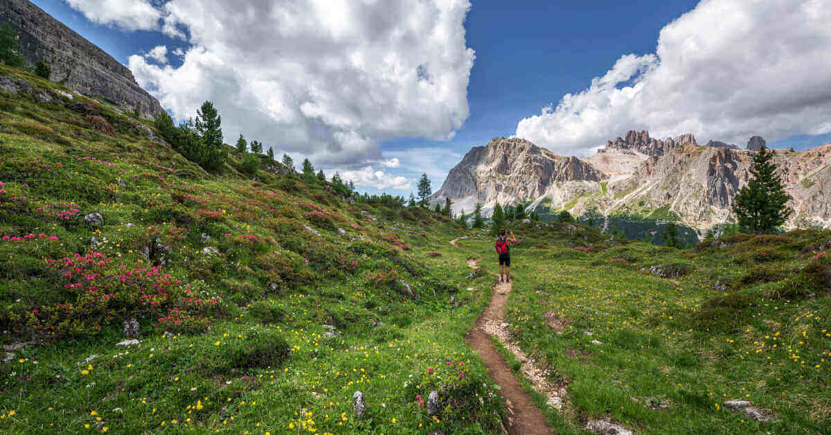 hiker in a hiking trail in the woods