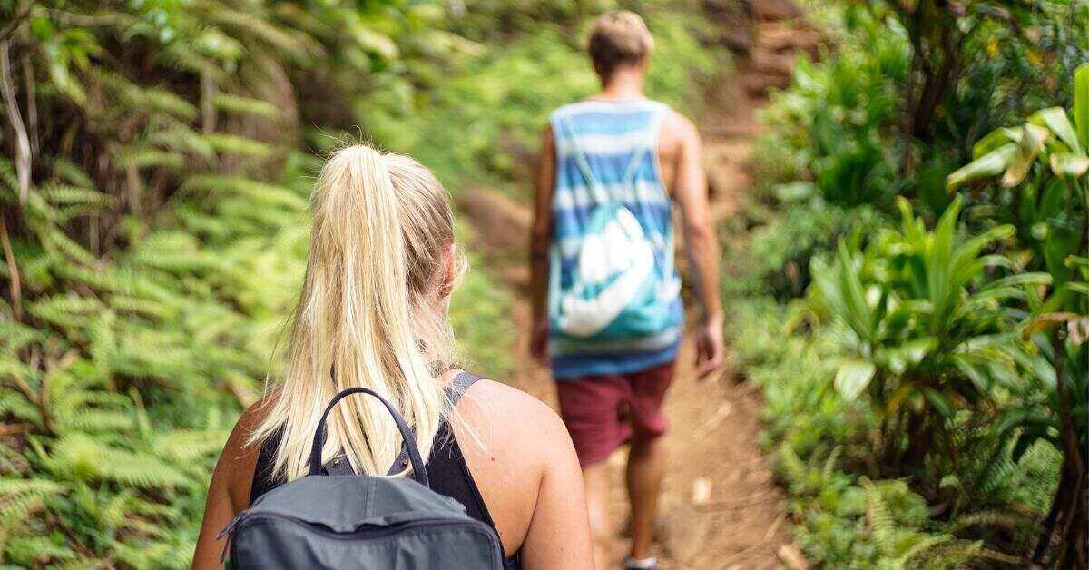 two hikers on a trail