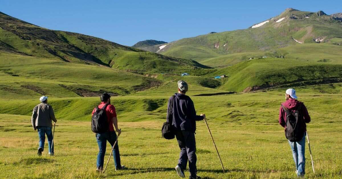 4 hikers in an open field