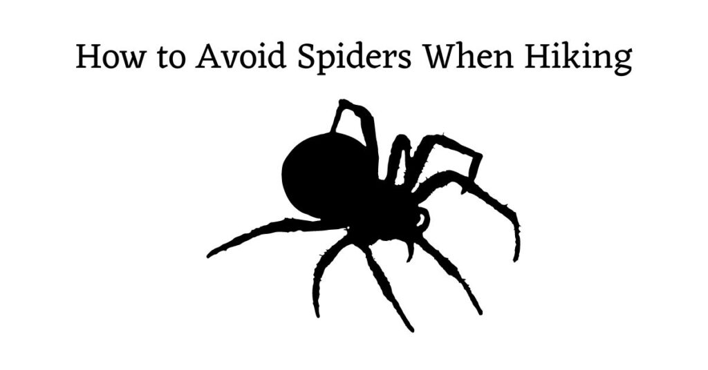 Graphic with spider image and the words: how to avoid snakes when hiking