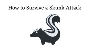 Graphic with the words: how to survive a skunk attack