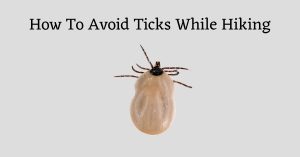 Image of tick accopmanied by the words: "how to avoid ticks while hiking"